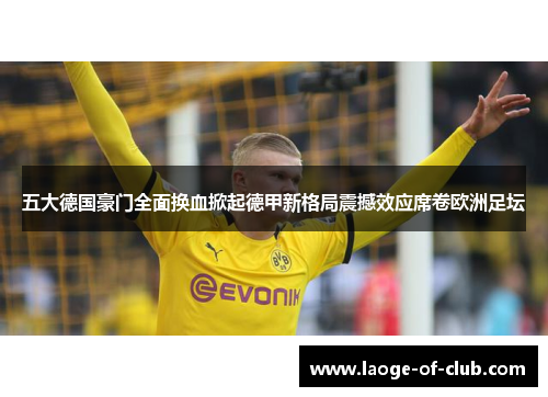五大德国豪门全面换血掀起德甲新格局震撼效应席卷欧洲足坛
