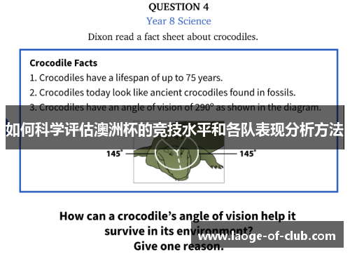 如何科学评估澳洲杯的竞技水平和各队表现分析方法 如何科学评估澳洲杯的竞技水平和各队表现分析方法