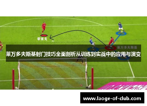 莱万多夫斯基射门技巧全面剖析从训练到实战中的应用与演变