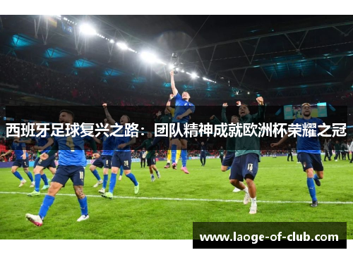 西班牙足球复兴之路:团队精神成就欧洲杯荣耀之冠 西班牙足球复兴之路:团队精神成就欧洲杯荣耀之冠