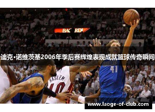 迪克·诺维茨基2006年季后赛辉煌表现成就篮球传奇瞬间
