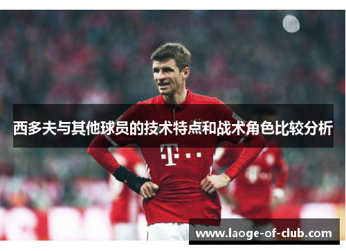 西多夫与其他球员的技术特点和战术角色比较分析 西多夫与其他球员的技术特点和战术角色比较分析