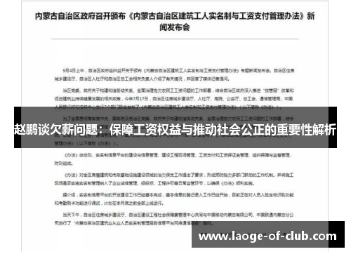 赵鹏谈欠薪问题：保障工资权益与推动社会公正的重要性解析