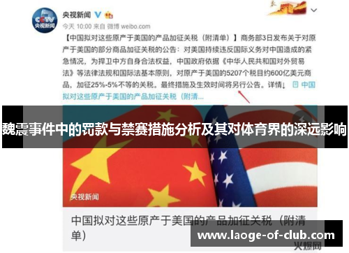 魏震事件中的罚款与禁赛措施分析及其对体育界的深远影响